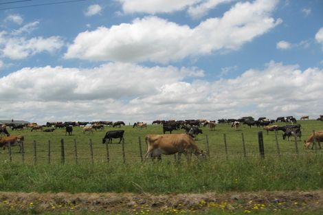 Photo of property in 220 Batty Road, Karaka, Papakura, 2580