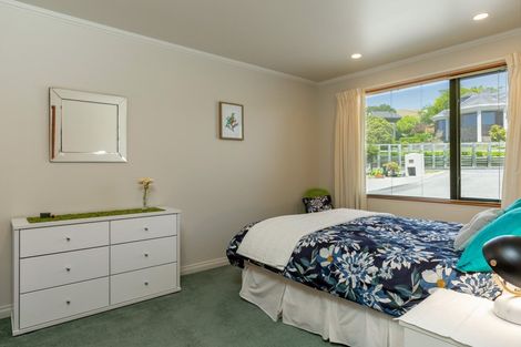 Photo of property in 27 Elisha Drive, Witherlea, Blenheim, 7201
