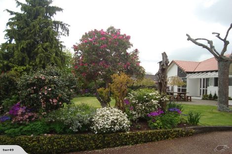 Photo of property in 2 Willow Grove, Morrinsville, 3300