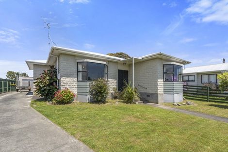 Photo of property in 7 Douglas Street, Levin, 5510
