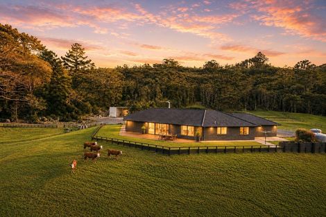 Photo of property in 49 Kanohi Road, Kaukapakapa, 0873
