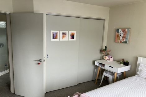 Photo of property in 11 Douglas Street, Mount Cook, Wellington, 6021