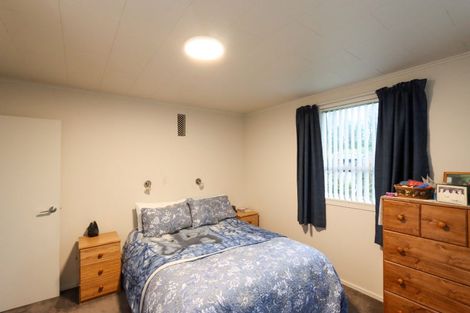 Photo of property in 3 Highfield Street, Waiau, 7332