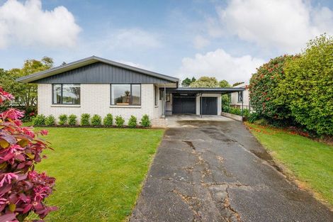 Photo of property in 210 South Street, Feilding, 4702