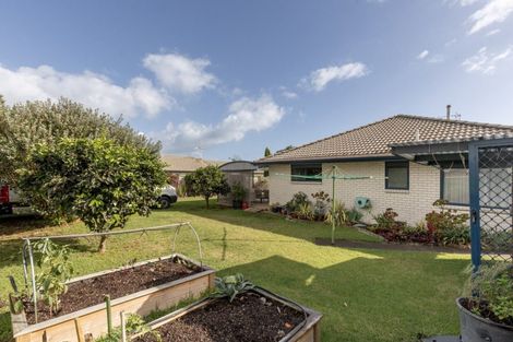 Photo of property in 170 Gloucester Road, Mount Maunganui, 3116