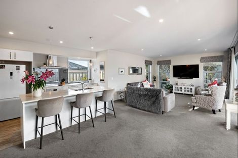 Photo of property in 6 Biggles Place, Lincoln, 7608