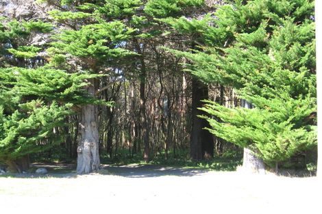 Photo of property in 90 Watt Street, Featherston, 5710