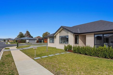 Photo of property in 1 Karearea Drive, Coastlands, Whakatane, 3120
