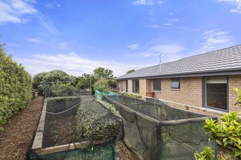 Photo of property in 521 Clark And Denize Road, Pukekawa, Tuakau, 2696