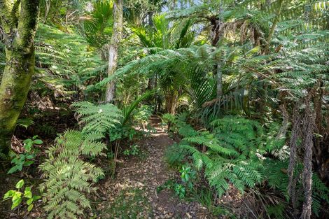 Photo of property in 413 Kanohi Road, Kaukapakapa, 0873