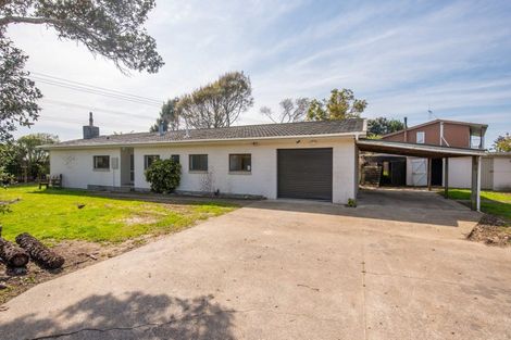 Photo of property in 189 Tararua Road, Levin, 5571