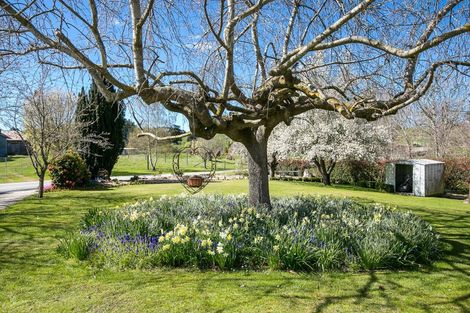 Photo of property in 15 Stenhouse Road, Mount Trotter, Palmerston, 9481