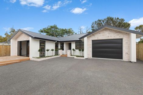 Photo of property in 19a Dudley Street, Levin, 5510