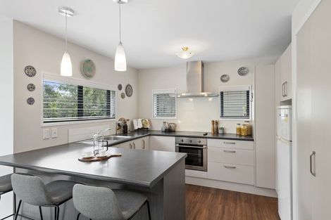 Photo of property in 103 Ranfurly Street, St Albans, Christchurch, 8014