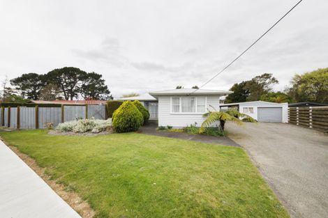 Photo of property in 202 Salisbury Street, Ashhurst, 4810