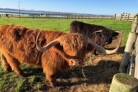 Photo of property in 137 Tuparekura Road, South Head, Helensville, 0874