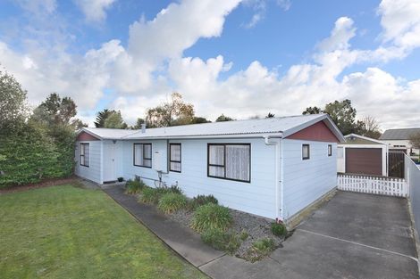 Photo of property in 20 Wild Street, Feilding, 4702