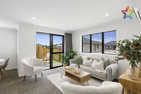 Photo of property in 71b Hinemoa Street, Levin, 5510