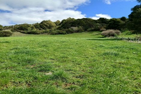 Photo of property in 403 Maungatawhiri Road, Raglan, 3295