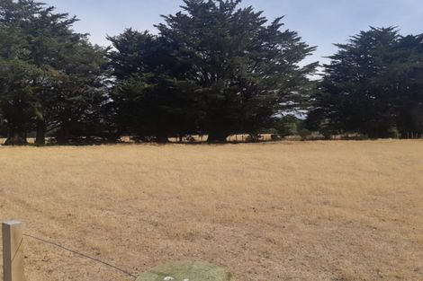 Photo of property in 171 Bidwills Cutting Road, Morison Bush, Greytown, 5794