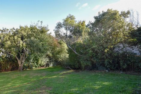 Photo of property in 31 Duckworth Street, Andersons Bay, Dunedin, 9013