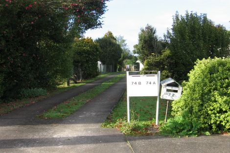 Photo of property in 74a Allen Street, Morrinsville, 3300