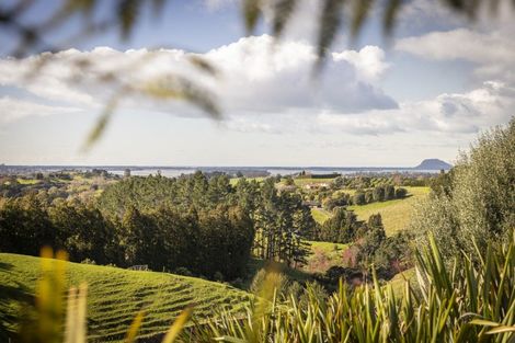 Photo of property in 108a Plummer Road, Whakamarama, Tauranga, 3179