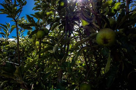 Photo of property in 8 Gundry Street, Rawene, Kaikohe, 0473