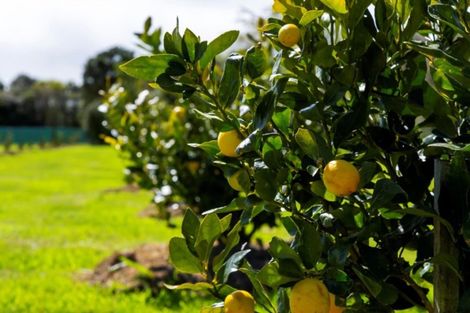 Photo of property in 804 Egmont Road, Hillsborough, New Plymouth, 4372