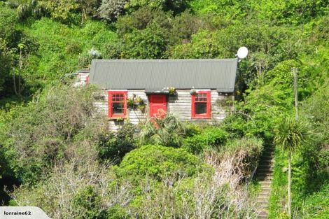 Photo of property in 111a Holloway Road, Aro Valley, Wellington, 6021