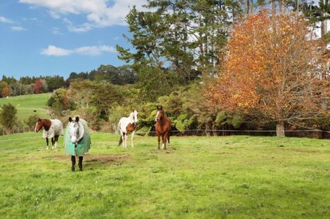 Photo of property in 45 Brewster Road, Pukekawa, Tuakau, 2696