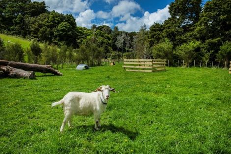 Photo of property in 1164 Weranui Road, Wainui, Silverdale, 0994