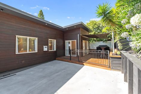 Photo of property in 93 Pembroke Street, Hamilton Lake, Hamilton, 3204