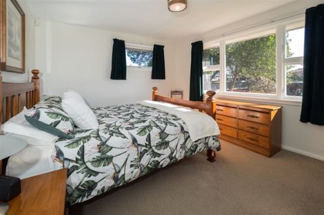 Photo of property in 61 Grove Street, Tinwald, Ashburton, 7700