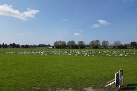 Photo of property in 117 Chamberlain Road, Te Awamutu, Cambridge, 3879