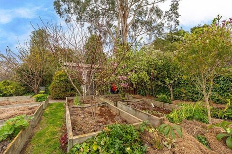 Photo of property in 4 Macdonald Street, Waimataitai, Timaru, 7910