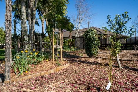 Photo of property in 10 Rowling Place, Leamington, Cambridge, 3432