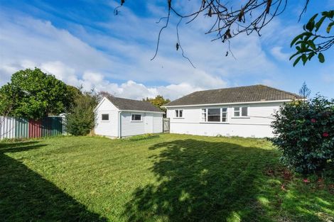 Photo of property in 26 Graham Street, Levin, 5510