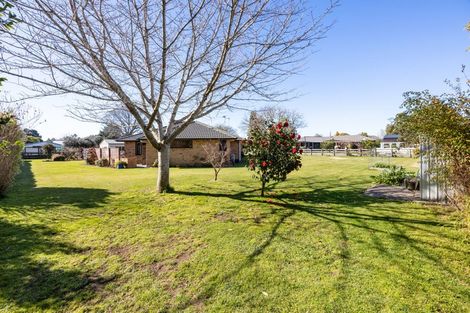 Photo of property in 520 Beechey Street, Pirongia, 3802