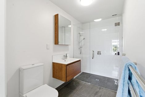 Photo of property in 101 Jimmy Adams Terrace, Lincoln, 7608