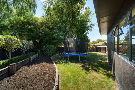 Photo of property in 25 Haggitt Street, Feilding, 4702