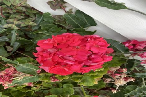 Photo of property in 68 Tirarau Street, Dargaville, 0310