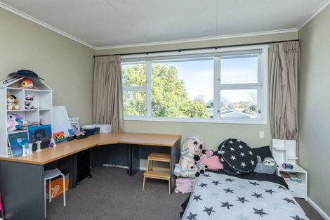 Photo of property in 169 Nelson Crescent, Napier South, Napier, 4110