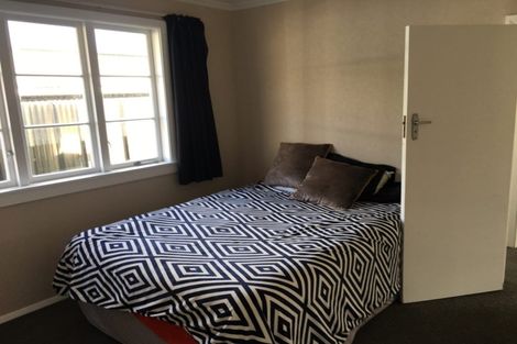 Photo of property in 42 Manson Street, Terrace End, Palmerston North, 4410