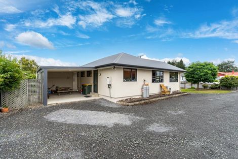 Photo of property in 13 Elderlee Street, Milton, 9220