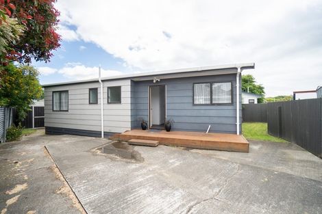 Photo of property in 22b Manchester Street, Takaro, Palmerston North, 4412