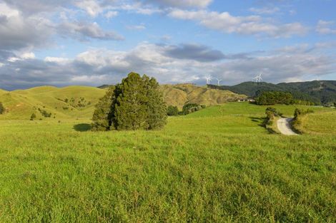 Photo of property in 9a Pond Road, Raglan, 3295