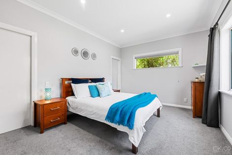 Photo of property in 77 Pilmuir Street, Hutt Central, Lower Hutt, 5010