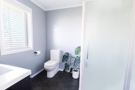 Photo of property in 533a Manutahi Road, Lepperton, New Plymouth, 4373