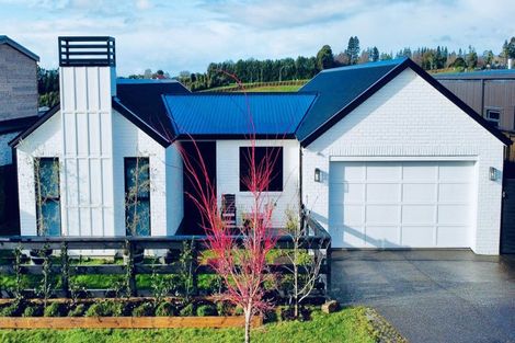 Photo of property in 187 Te Ranga Memorial Drive, Pyes Pa, Tauranga, 3112